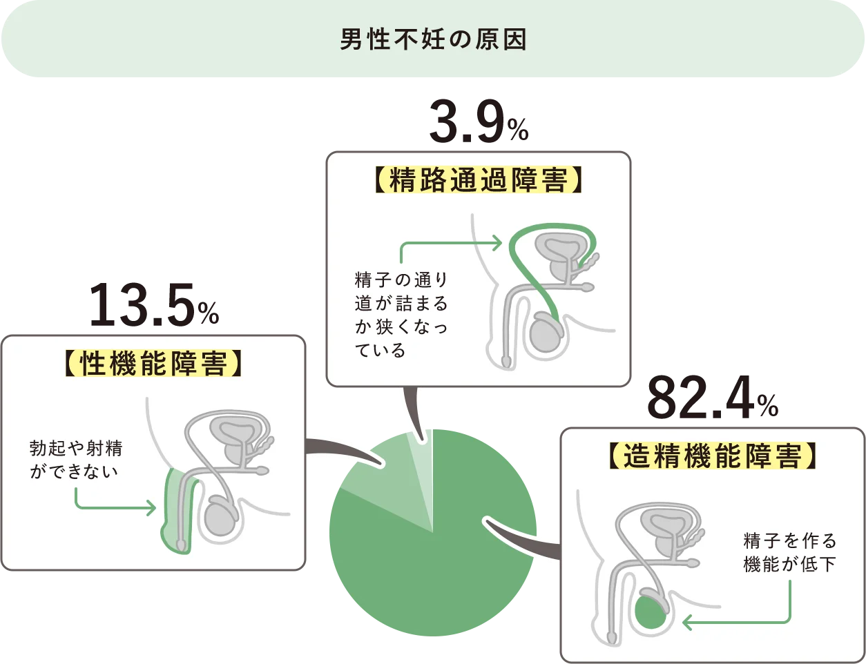 男性不妊の原因:3.9%:【精路通過障害】精子の通り道が詰まるか狭くなっている / 13.5%:【性機能障害】勃起や射精ができない / 82.4%:【造精機能障害】精子を作る機能が低下