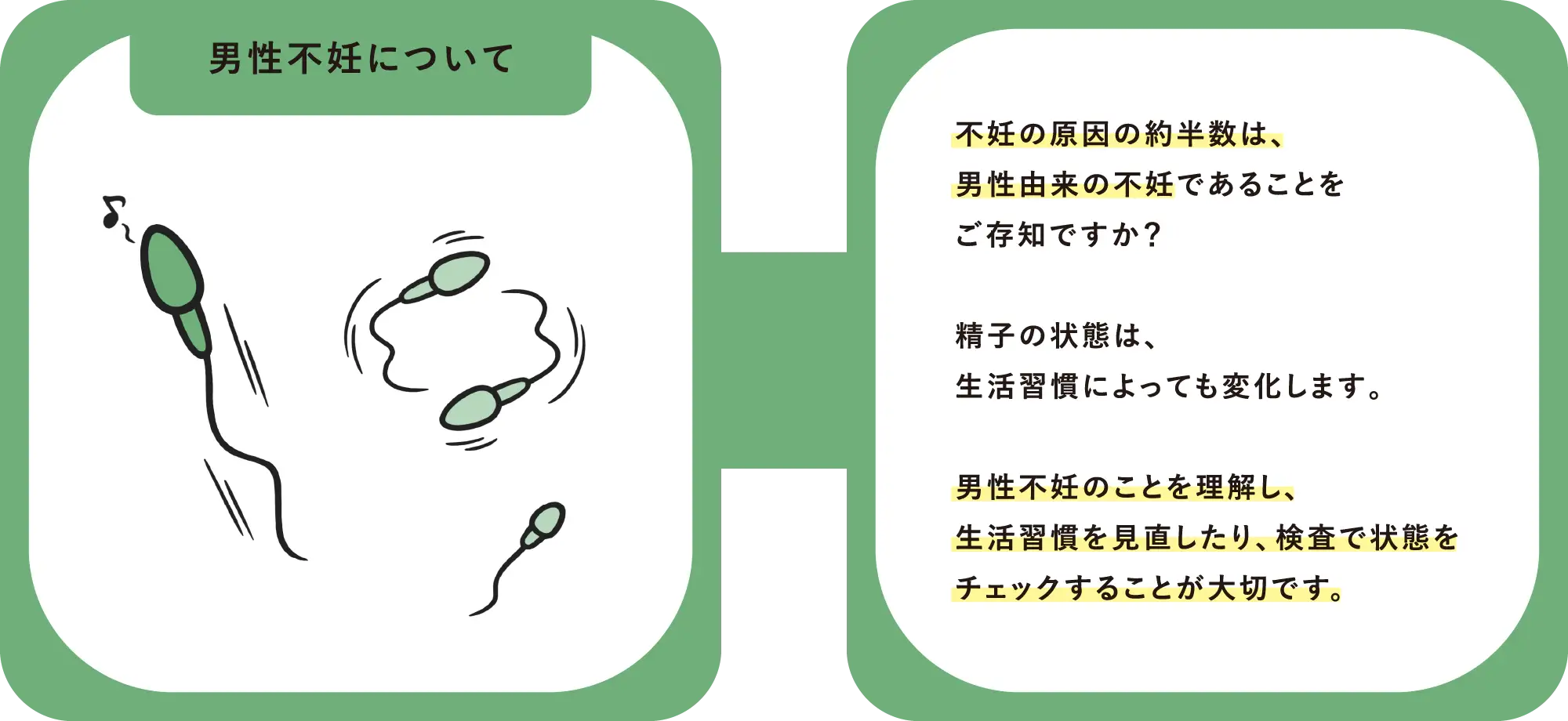 【男性不妊について】不妊の原因の約半数は、男性由来の不妊であることをご存知ですか?精子の状態は、生活習慣によっても変化します。男性不妊のことを理解し、生活習慣を見直したり、検査で状態をチェックすることが大切です。