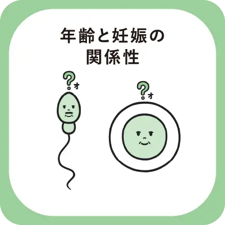 年齢と妊娠の関係性